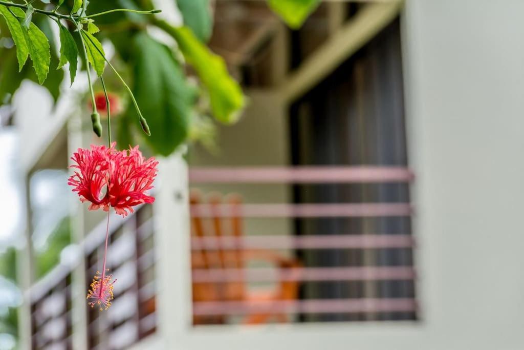 Puerto Viejo de Talamanca Hotel Torres Del Mar מראה חיצוני תמונה